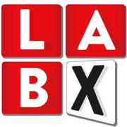 LabX - Centro para a Inovação no Setor Público