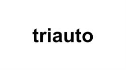 Triauto Volvo - Vila do Conde