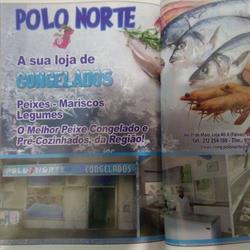 Polo Norte, Congelados