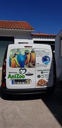 Anizoo