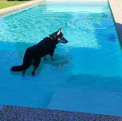 Portugal Duarte piscinas