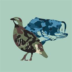 CACIPESCA - Artigos de caça e pesca, artigos para pesca competição, artigos de cutelaria