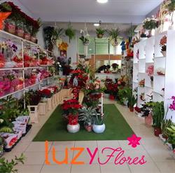 Florista Luzyflores