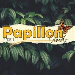 Papillon Canedo
