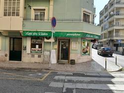 Loja dos Vinhos