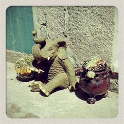 Jardim Eden Compra/venda