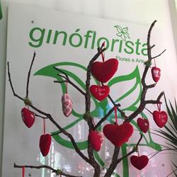 Ginoflorista