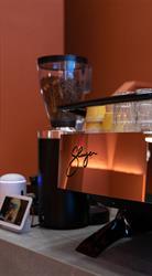 SoLo Brewing Coffee Lab