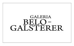 Galeria Belo-Galsterer