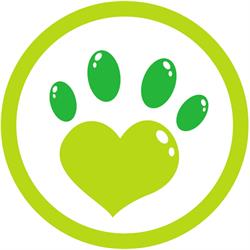 Bola de Pêlo - Clínica Veterinária