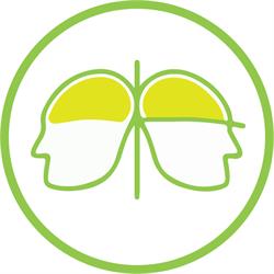 Lemonsafe - Engenharia, Segurança, Auditoria e Inspeção