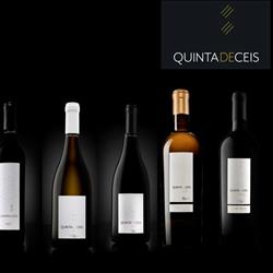 Cena de Vinhos