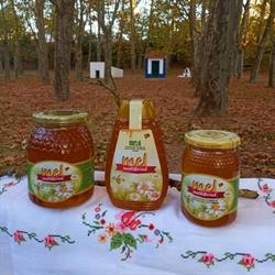 MELA- Produção e Venda de Mel
