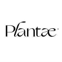 PLANTAE