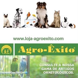 Agro-Êxito, LDA