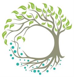 Associação Terra Sintrópica