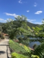Quintinha na região Douro verde