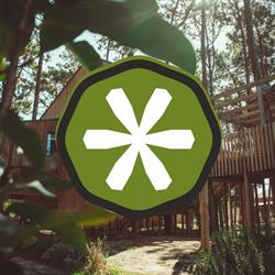 Bukubaki Eco Surf