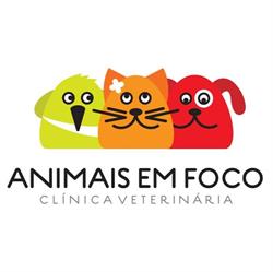 Animais em Foco