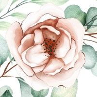 Flores do Éden