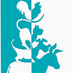 Multianimais - Clínica Veterinária, Lda.