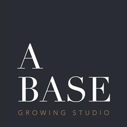 A BASE