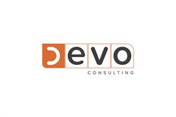 D-EVO Consulting