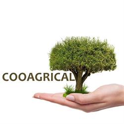 Cooagrical