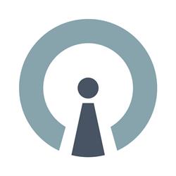 iConsulting Group