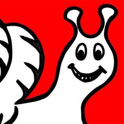 Crazy Snail Rentals