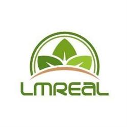 LM Real