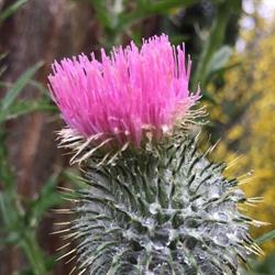 Madeira Wandern mit Christa & Wohnen
