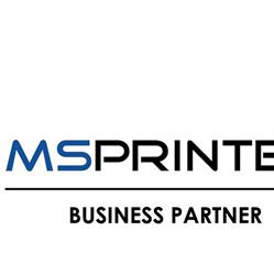 MS Printer