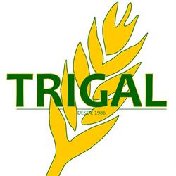 Trigal