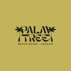 Palm Tree
