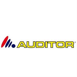 Auditor