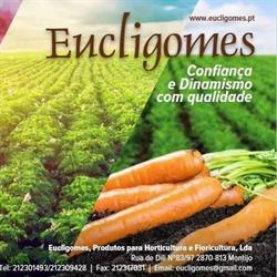 Eucligomes