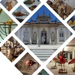 Museu da Ciência da Universidade de Coimbra