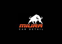 Miura Car Detail
