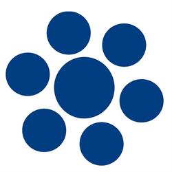 E-coordina portugal