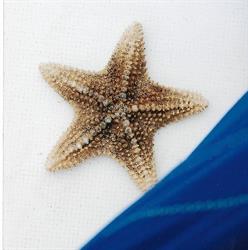 Estrela do Sado