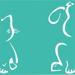 Clinica Veterinária São Francisco D'Assis