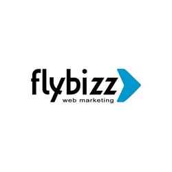 Flybizz Digital Marketing Agency