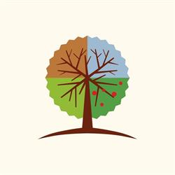 STARTPOSITIVE VIAGENS