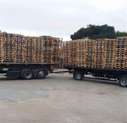 Paljet-transportes E Paletes Unipessoal Lda